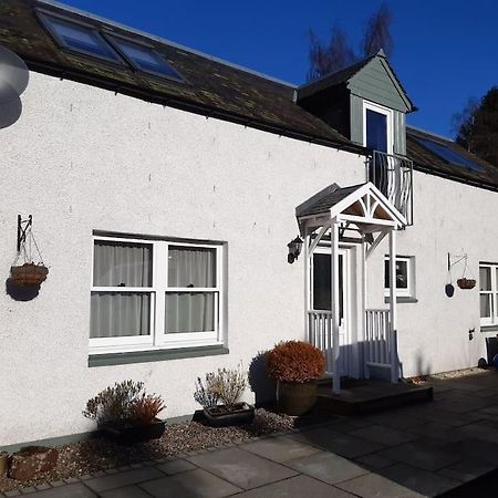 Pinewood Cotage - Country Walks And Relaxation Villa Blairgowrie and Rattray Buitenkant foto